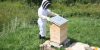Stehtajte svoj panj s čebelarsko tehtnico